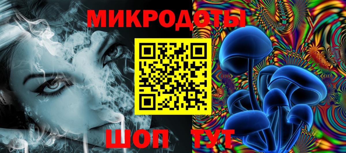 Псилоцибиновые грибы Psilocybine cubensis Советск