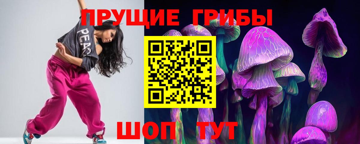 Галлюциногенные грибы Psilocybine cubensis  Вход с VPN  Советск  Псилоцибиновые грибы GOLDEN TEACHER 